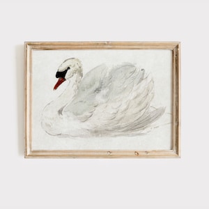 Vintage Swan Watercolor Painting: Antique Nursery Art Digital Download