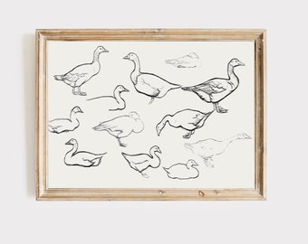 Geese Sketch Print: Vintage Farmhouse Nursery Art Digital Download
