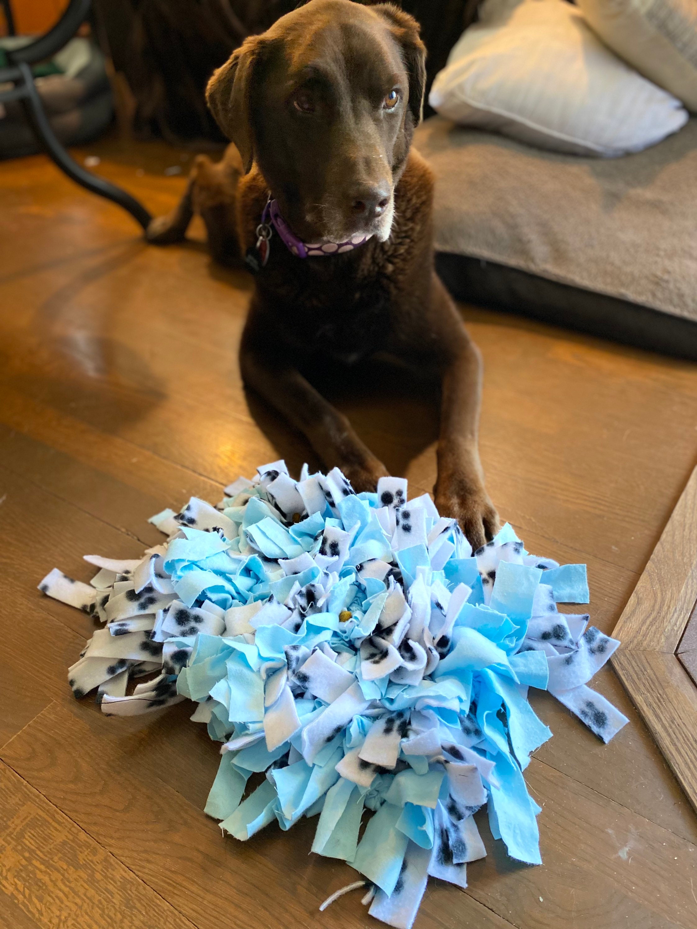 Snuffle Mat/ Snuffle Toy/ Enrichment Toy/ Enrichment Toy for Etsy