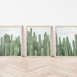 Vintage Style Cactus Set of 3 Instant Download Printable Art, Boho Decor, Triptych Cacti Office Decor Wall Art, 3 Piece Wall Art Desert Art