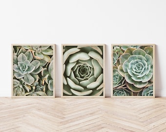 Printable Plant Art, Set of 3 Succulent Art, Succulent Gift, Cactus Gift, Plant Lover Gift, Desert Art, 3 Piece Wall Art Instant Download