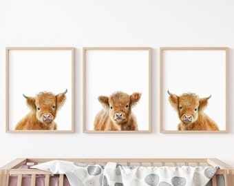 Farm Nursery Decor, Highland Cow Nursery Decor, Cow Nursery Decor, Cow Prints Nursery, Highland Nursery, Cow Nursery, Highland Cow Nursery