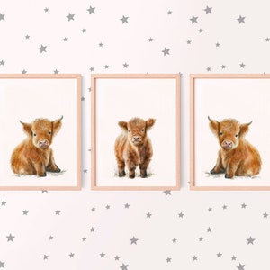 May include: Three framed prints featuring watercolor illustrations of Highland calf. The calves have fluffy, reddish-brown fur and small horns. The frames are light pink, and the background is a pale pink with gray star patterns.