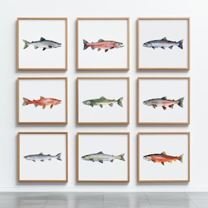 Ensemble de 9 impressions d'art murales de galerie de pêche à la truite saumonée, maison de pêche à la mouche, décoration de maison de lac ou de maison de plage, saumon rose kéta coho sockeye