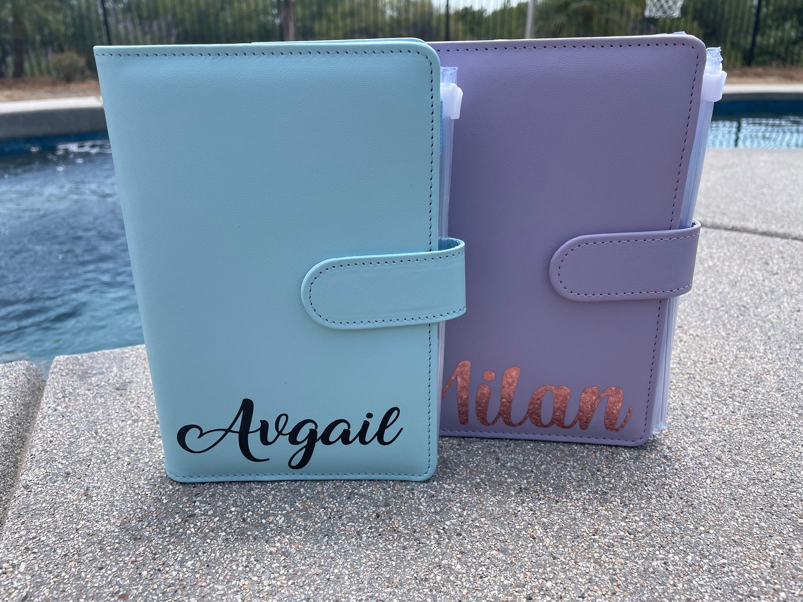 Custom Budget Binder Cash Envelope System A6 Binder Money Etsy