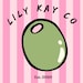 Owner of <a href='https://www.etsy.com/shop/LilyKayCo?ref=l2-about-shopname&from_page=listing' class='wt-text-link'>LilyKayCo</a>