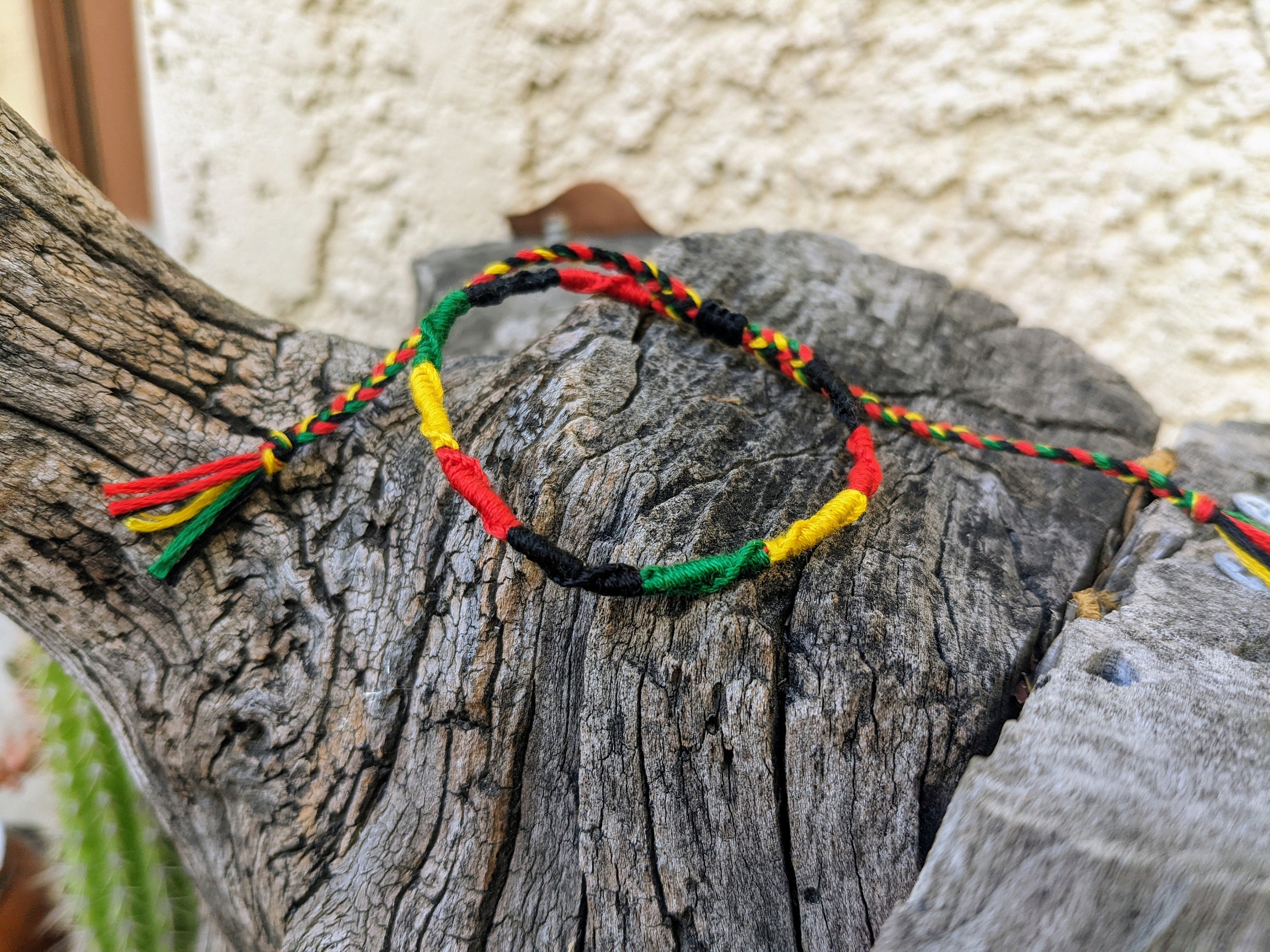Jogging marca online rasta