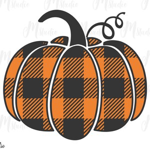 May include: A black and orange pumpkin with a plaid pattern. The pumpkin has a stem and a curly vine.