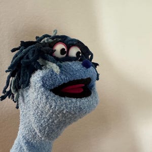 May include: A blue sock puppet with a black mouth, pink tongue, and large white eyes with black pupils. The puppet has blue and black yarn hair.