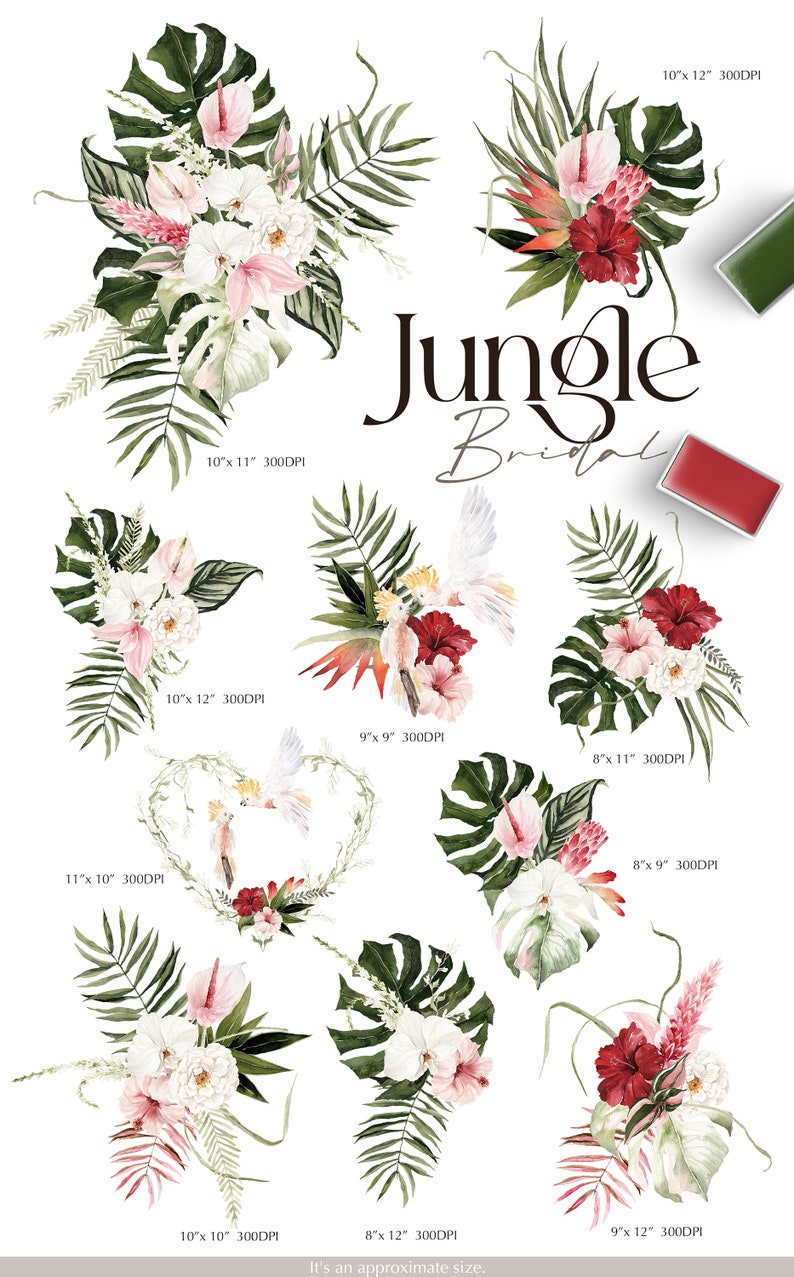 Jungle Bridal, Watercolor clipart, Watercolor flower, Summer clipart, Monstera Clipart, Summer Wedding, Tropical Clipart, Pampass Clipart image 8