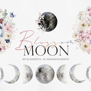 Luna De Flor, Flor De Acuarela, Luna De Acuarela, Clipart De Flor De Luna, Flor de Acuarela PNG, Clipart de Flor de Cerezo Clipart, Flor De Acuarela Luna