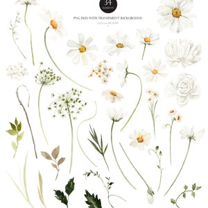 May include: A set of 34 watercolor illustrations of white flowers, leaves, and stems. The illustrations are perfect for creating floral designs, greeting cards, and other creative projects.