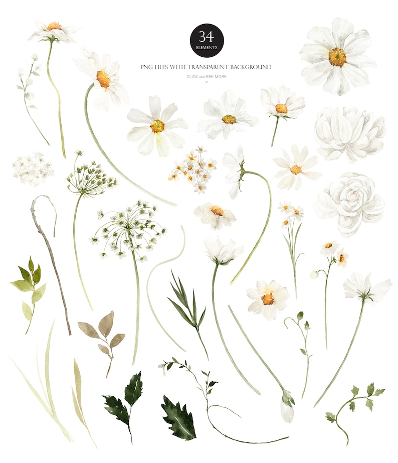 May include: A set of 34 watercolor illustrations of white flowers, leaves, and stems. The illustrations are perfect for creating floral designs, greeting cards, and other creative projects.