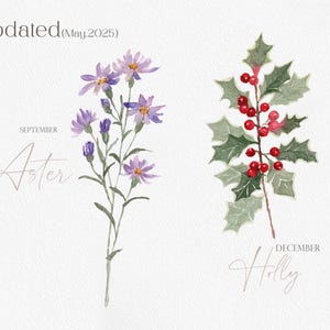 Flores de nacimiento en acuarela, clipart de flores del mes, PNG de flores de nacimiento, ramos de flores, flores de nacimiento en acuarela imagen 6