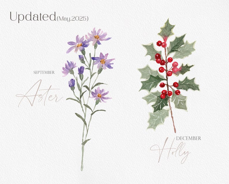 Flores de nacimiento en acuarela, clipart de flores del mes, PNG de flores de nacimiento, ramos de flores, flores de nacimiento en acuarela imagen 6