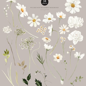 May include: A set of 34 watercolor illustrations of white flowers and greenery. The illustrations are perfect for creating digital or printed designs.