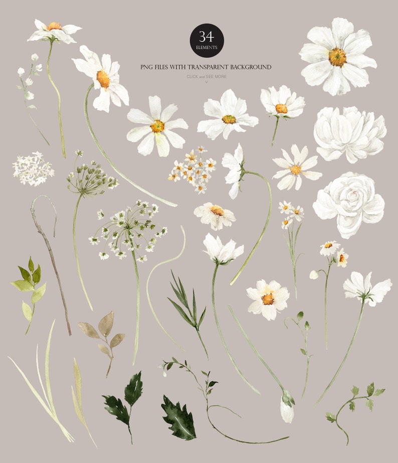 May include: A set of 34 watercolor illustrations of white flowers and greenery. The illustrations are perfect for creating digital or printed designs.