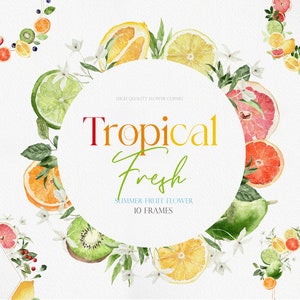 Tropical Fresh,Watercolor Clipart,Watercolor Fruit Clipart,Tropical Clipart, Fruit Clipart,Orange clipart, Citrus Clipart, Watercolor Citrus