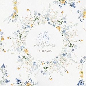 Flores silvestres SKY, clipart de flores silvestres, flores silvestres em aquarela PNG, flores azuis em aquarela, flor em aquarela, clipart de flores