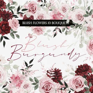Watercolor Blush flower, Blush Burgundy flowers, Watercolor flower png, Blush flower clipart, Blush Watercolor flowers, Watercolor Floral