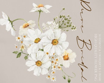 Pure Bridal flower, Watercolor flower, White flower, Wedding invitation clipart, Daisy clipart, Watercolor Wedding clipart, Watercolor Daisy