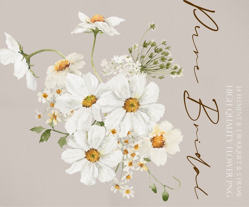 May include: Watercolor illustration of a bouquet of white flowers with yellow centers. The flowers are arranged in a loose, natural style. The background is a soft, light gray.