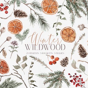 May include: Watercolor illustration featuring botanical elements. The design includes dried orange slices, pine cones, sprigs of greenery, and berries. The text "Winter WILDWOOD" is displayed in a decorative font, along with the details "25 ELEMENTS 5 BOUQUETS 5 FRAMES."