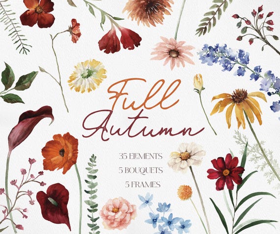 FULL AUTUMN, Watercolor Flower PNG, Autumn Flower Clipart, Fall Wildflower, Watercolor Autumn Floral, Watercolor Wildflower Bouquet