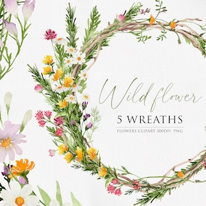 Flores silvestres, clipart de flores, flor aquarela, clipart aquarela, flor selvagem PNG, flor aquarela PNG, flor PNG, clipart de flor selvagem