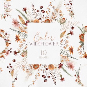 EMBER VILDBLOMMA, Akvarell Höstvildblomma, Höstvildblomma, Akvarell Blomma Clipart, Akvarell Höstblomma, Vinröda Vildblommor