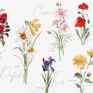 Puede incluir: Ilustraciones de acuarela de flores que representan cada mes del a&ntilde;o. Enero: Camelia, Febrero: Iris, Marzo: Narciso, Abril: Cosmos, Mayo: Amapola, Junio: Crisantemo, Julio: Rosa, Agosto: Lirio, Septiembre: Girasol, Octubre:  Hortensia, Noviembre:  Peon&iacute;a, Diciembre:  Acebo.