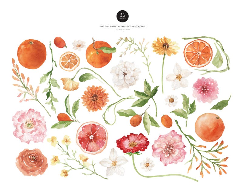 May include: Watercolor illustrations of various flowers and citrus fruits, including oranges, grapefruits, and lemons. The flowers are in shades of pink, white, and red, and the citrus fruits are in shades of orange and yellow. The illustrations are on a white background.