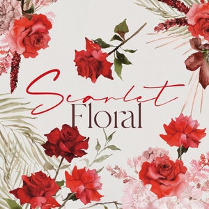 Scarlet Blumen, Aquarell Blume, Aquarell Clipart, Herbst Blume, Blume PNG, Herbst Blumen, Aquarell Bouquets, Rosen Clipart, Rote Rose