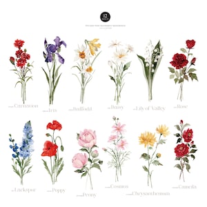 Puede incluir: Doce ilustraciones de acuarela de diferentes flores, cada una con un fondo transparente. Las flores est&aacute;n dispuestas en dos filas de seis, con los nombres de las flores escritos debajo de cada ilustraci&oacute;n. Las flores incluyen clavel, iris, narciso, margarita, lirio de los valles, rosa, delfinio, amapola, peon&iacute;a, cosmos, crisantemo y camelia.