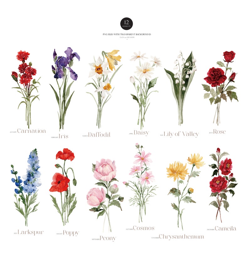 Puede incluir: Doce ilustraciones de acuarela de diferentes flores, cada una con un fondo transparente. Las flores est&aacute;n dispuestas en dos filas de seis, con los nombres de las flores escritos debajo de cada ilustraci&oacute;n. Las flores incluyen clavel, iris, narciso, margarita, lirio de los valles, rosa, delfinio, amapola, peon&iacute;a, cosmos, crisantemo y camelia.