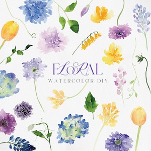 Clipart acquerello, fiore acquerello, fiore PNG, fiore viola png, fiore giallo png, clipart ortensia, lavanda png