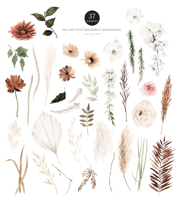 Neutral Boho Wedding Flowers Watercolor Clipart, Beige Floral PNG, Pampas Grass & Elegant Wedding Florals