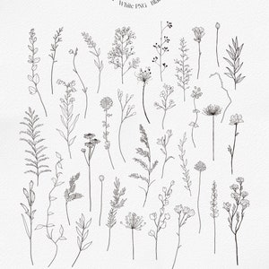 May include: A set of 36 black and white line art illustrations of wild flowers. The illustrations are simple and elegant, and would be perfect for use in a variety of projects, such as invitations, cards, and website designs.