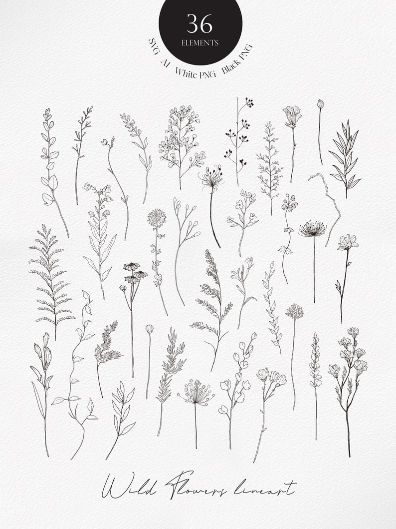 May include: A set of 36 black and white line art illustrations of wild flowers. The illustrations are simple and elegant, and would be perfect for use in a variety of projects, such as invitations, cards, and website designs.