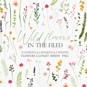 Flores silvestres, Clipart de flores, Flor de acuarela, Clipart de acuarela, Flor silvestre PNG, Flor de acuarela PNG, Flor PNG, Clipart de flores silvestres