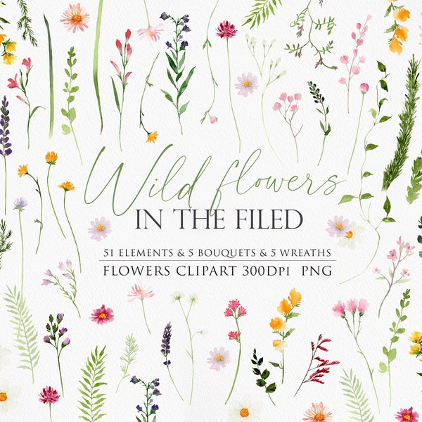 Wild flowers, Flower clipart, Watercolor flower, Watercolor clipart, Wild flower PNG, Watercolor flower PNG, Flower PNG, Wild flower clipart