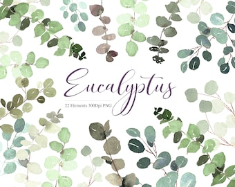 May include: Watercolor illustrations of eucalyptus leaves in shades of green, blue, and gray. The text "Eucalyptus" and "22 Elements 300Dpi PNG" is written in purple.