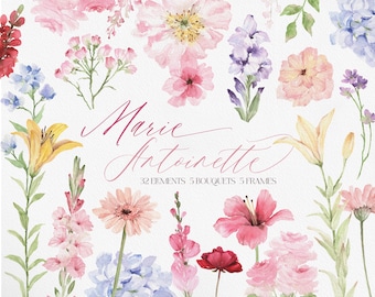Marie Antoinette, Watercolor Pink Flowers, Vintage Flower, Watercolor Flower Clipart, Flower PNG, Spring Flower PNG
