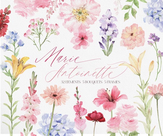 Marie Antoinette, Watercolor Pink Flowers, Vintage Flower, Watercolor Flower Clipart, Flower PNG, Spring Flower PNG