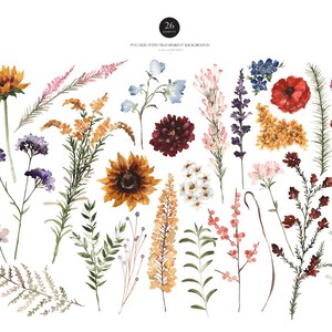 May include: A set of 26 watercolor illustrations of various flowers and foliage. The flowers are in shades of red, yellow, orange, pink, purple, and blue. The foliage is in shades of green and brown.