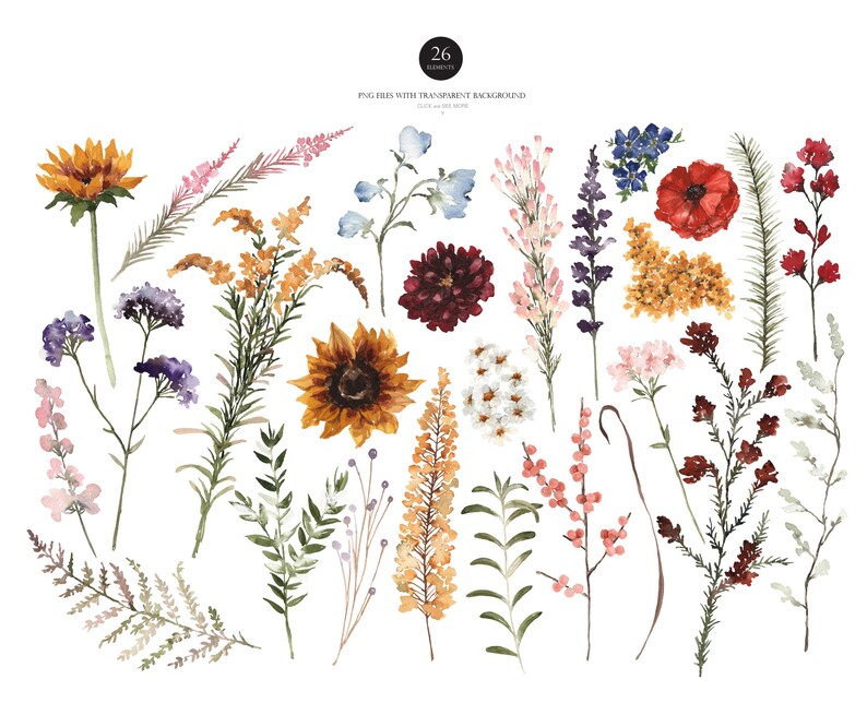May include: A set of 26 watercolor illustrations of various flowers and foliage. The flowers are in shades of red, yellow, orange, pink, purple, and blue. The foliage is in shades of green and brown.
