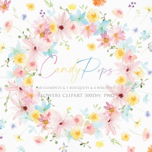 Aquarelle Fleurs de printemps, Arrangements floraux, Clipart de mariage, Aquarelle florale, Fleur d’aquarelle PNG, Clipart de fleur sauvage, Babyflowers