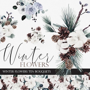Fleurs d'hiver, clipart aquarelle, couronne de fleurs, botanique d'hiver, clipart hiver, fleur de coton, baies des neiges, clipart pin aquarelle