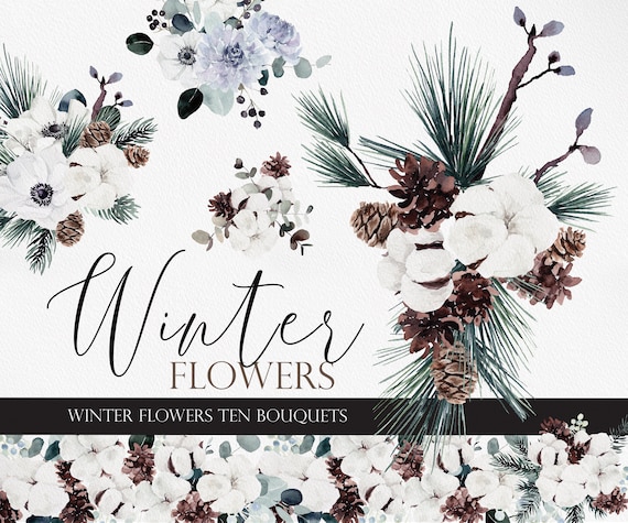 Winter Florals, Watercolor Clipart, Floral Wreath, Winter botanical, Winter clipart, Cotton flower, Winterberry, Watercolor Pine Clipart