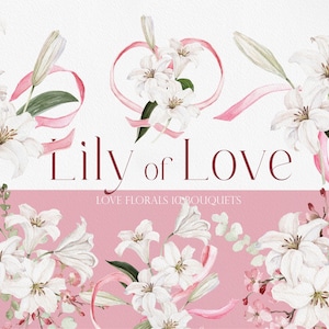 Lirio de amor, flor de acuarela, lirio de acuarela, flor de lirio png, clipart de lirio, clipart de cinta rosa, clipart de día de san valentín, flor PNG